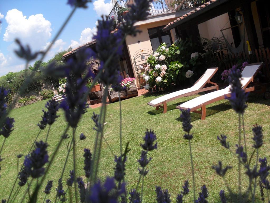 Agriturismo San Giacomo Pitigliano Quarto foto