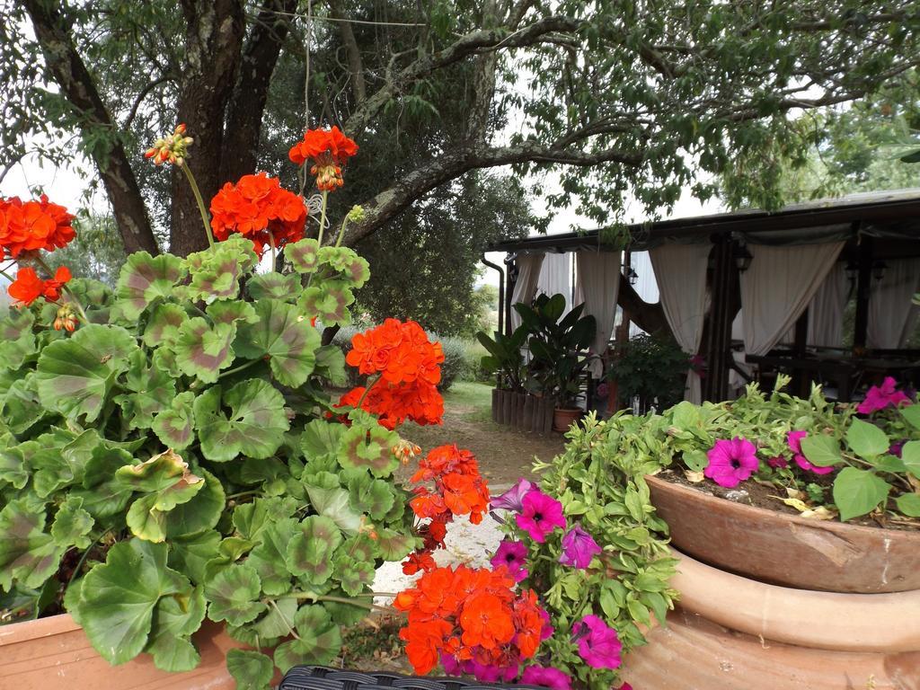 Agriturismo San Giacomo Pitigliano Quarto foto